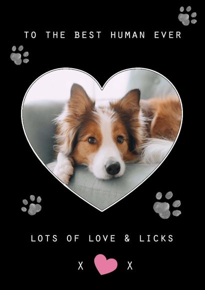 Cute Personalised Dog Photo Card / Birthday Card - To The Best Human Ever Lots Of Love & Hugs created by Marie Goodchild
