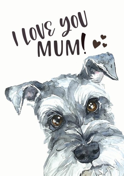 Schnauzer Birthday or Mothers Day card for dog Mums created by Jo Scott Art