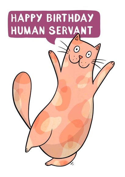 Happy Birthday Human Servant created by Drawn to Cats