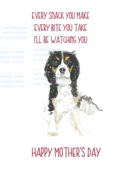 the police pun Mothers Day Card 14243 created by Sarah Maddox