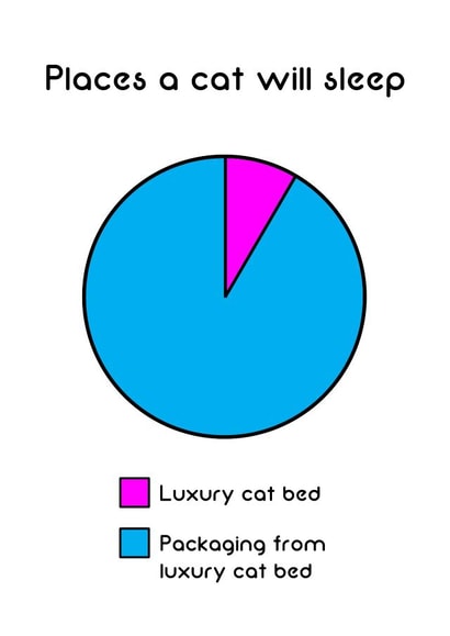 cat sleep Humour Card 9837 created by Cat Flap Cards