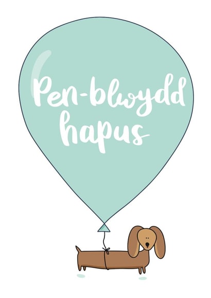 penblwydd pen-blwydd hapus Birthday Card 9497 created by Draenog Design