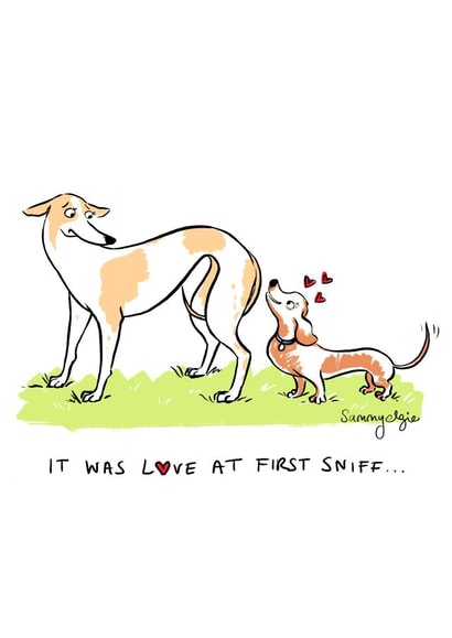 dog love Valentines Day Card 45217 | thortful