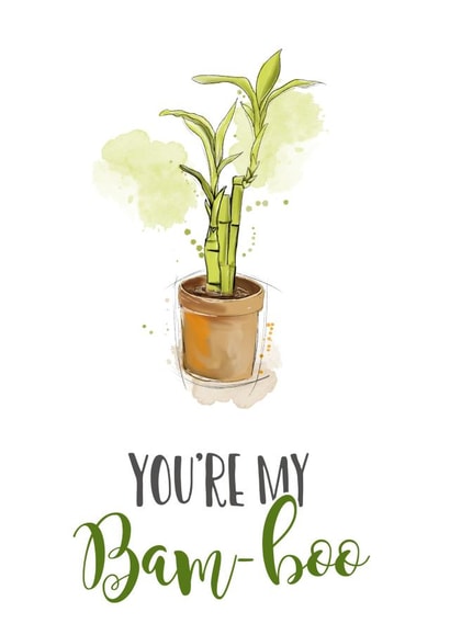 bamboo plant Love & Friendship Card 16274 created by The Arty Apples Limited