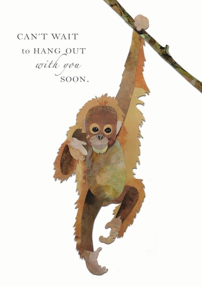 monkey orangutan Just because Card 43302 created by Susie Thomas