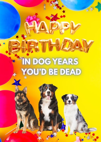Dog birthday message - funny created by Deborah Woodthorpe Illustration