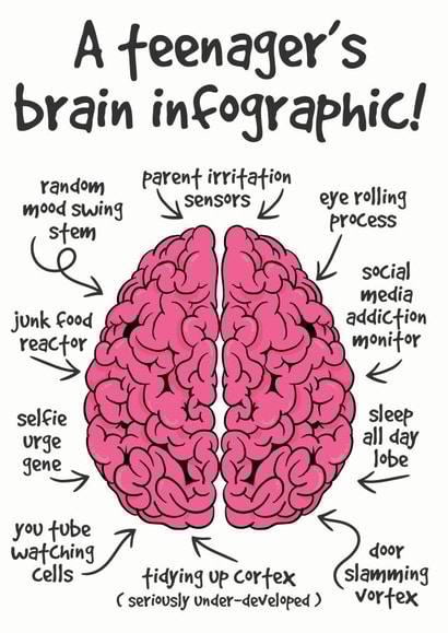 teenager brain infographic Birthday Card 21761 created by Lemon Hairy