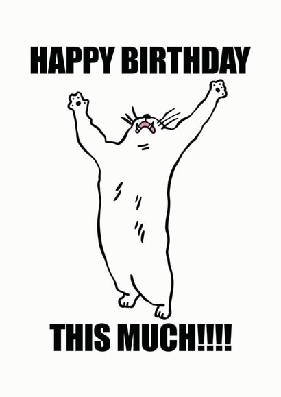 Happy Birthday This Much Cat Meme Lover created by Dhanna