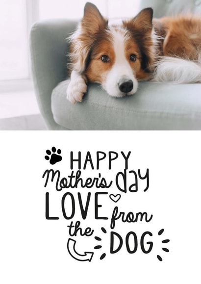 Cute Personalised Mother's Day Photo Card - Happy Mother's Day Love From The Dog created by Jodie Gaul & Co