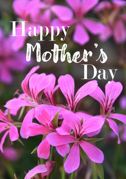 photography flowers Mothers Day Card 47012 created by R.McNally Photography