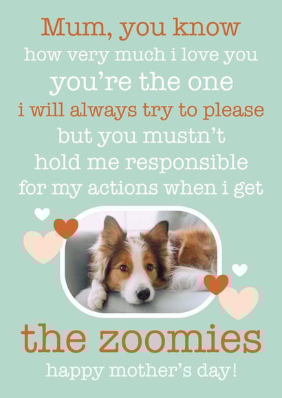 Cute Poem Mother's Day Card / Photo Card - From The Dog - You're The One I Will Always Try To Please created by Chelsey Adams