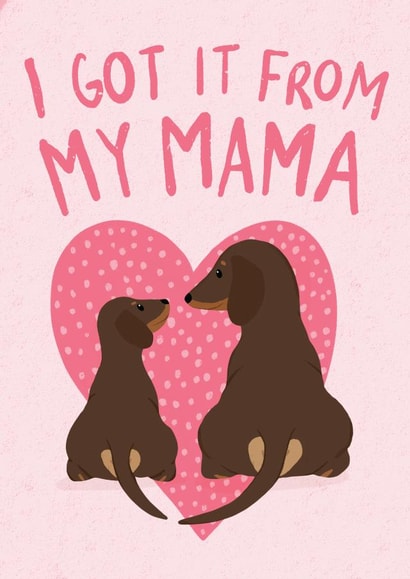 cute animals Mothers Day Card 47030 created by Hannah Nolloth 