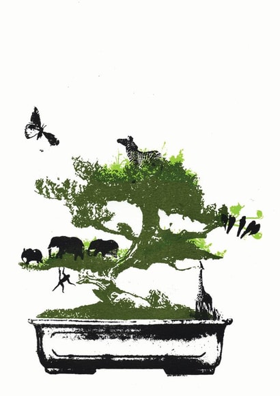 bonzai bonzai tree Card 23697 created by Katie Edwards