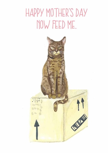 feed me command Mothers Day Card 14248 created by Sarah Maddox