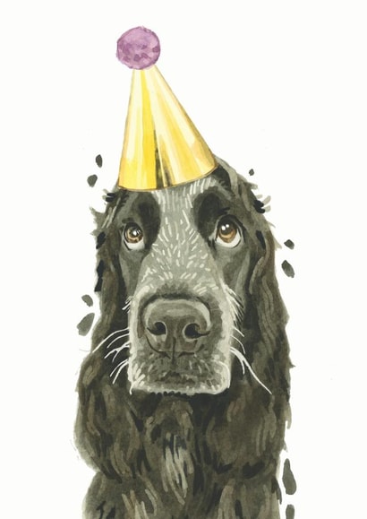 Cocker Spaniel Springer Spaniel Birthday Card 21230 created by Robert James Hull