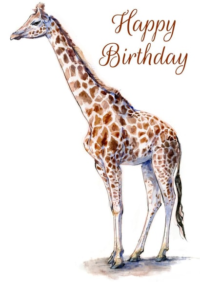 wild animal giraffe Birthday Card 1115 created by Tim Pond
