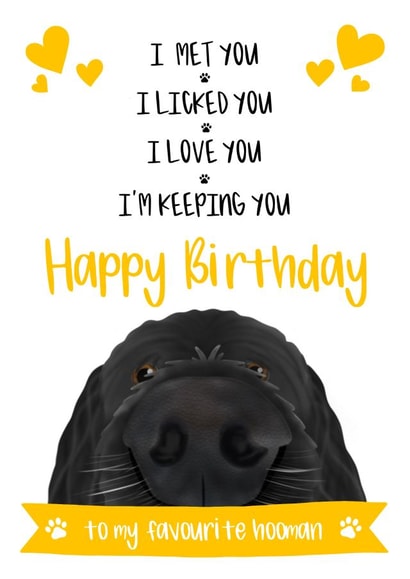 Dad Birthday Card from the Dog 1001 created by The Merry Giraffe