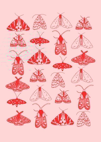 pink and red pink Card 48547 created by KATHRYN CHURN