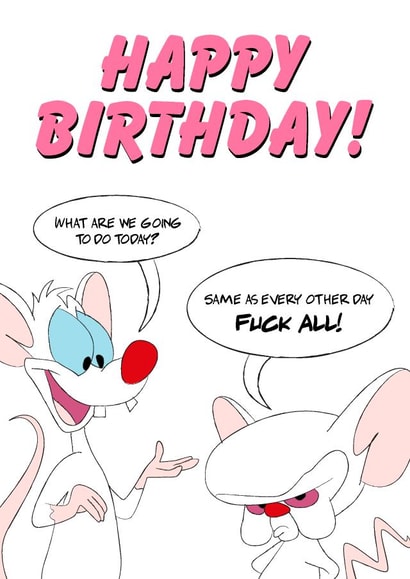 Lockdown Birthday (Pinky and The Brain) created by SJS Designs