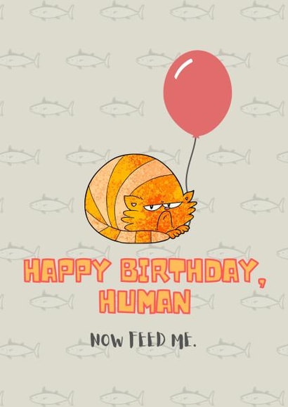 Happy Birthday Human, from the cat | thortful