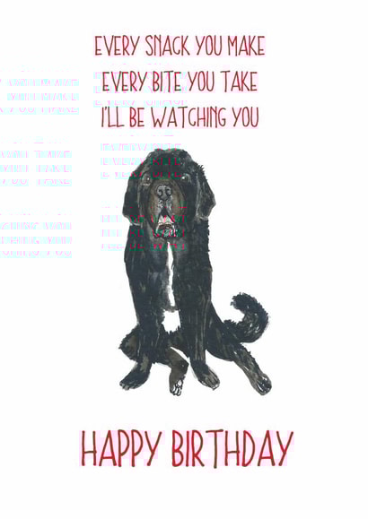 Newfoundland dog birthday card created by Sarah Maddox