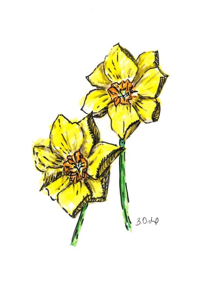 Cornish Daffs created by Maid of the Bay