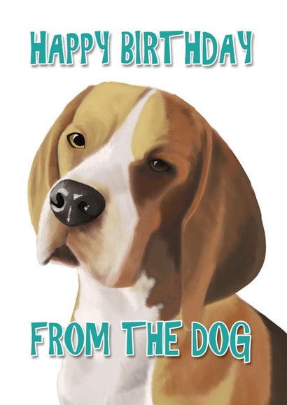 Happy Birthday from the dog (Beagle) created by Duckduckle Design