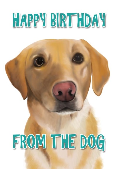 Birthday Card from the Dog (Labrador) created by Duckduckle Design