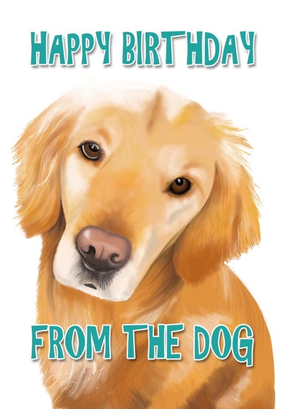 Cute Birthday Card from the Dog (Retriever) created by Duckduckle Design