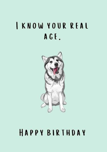 Real Age Dog Birthday Card created by Thankful Cards