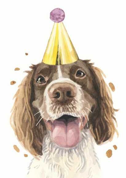 Springer Spaniel Birthday Card created by Robert James Hull