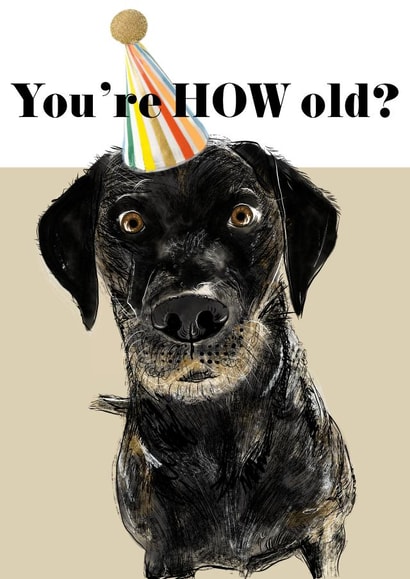 You're How Old? From the Dog created by Holly.Ruanne.Draws