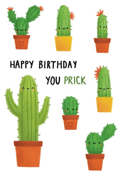 Birthday Cactus Prick created by Sophie Kent Illustration