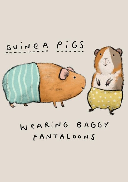 Guinea Pigs Wearing Baggy Pantaloons created by Sophie Corrigan