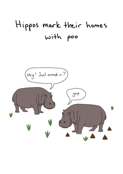 Funny Hippo New Home Card - Poo - Hippos Make Their Homes With Poo created by Random Animal Facts