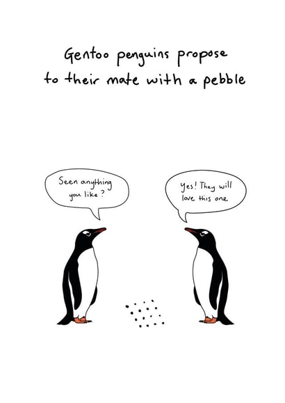 Engagement Card created by Random Animal Facts