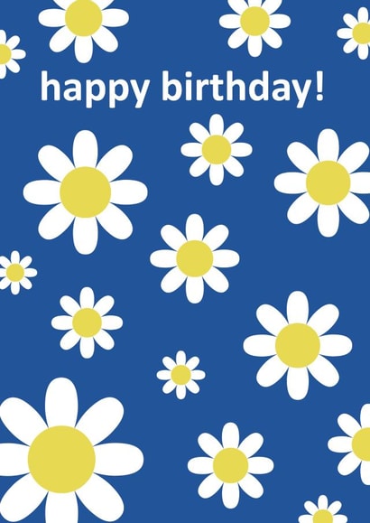 happy birthday daisies created by Comfy Marmalade