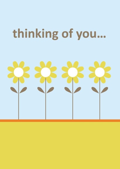thinking of you daisies created by Comfy Marmalade