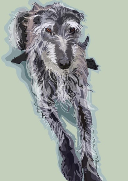 Lurcher Dog Card created by Higgledy Pets