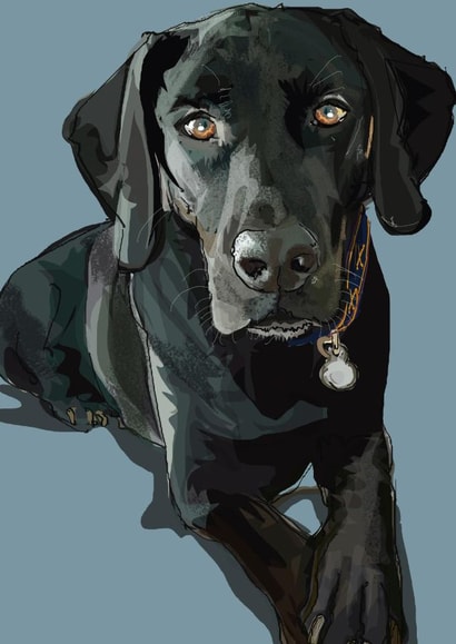 Black Lab Card created by Higgledy Pets
