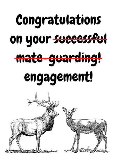 Mate-guarding engagement card created by Ellie Aardvark