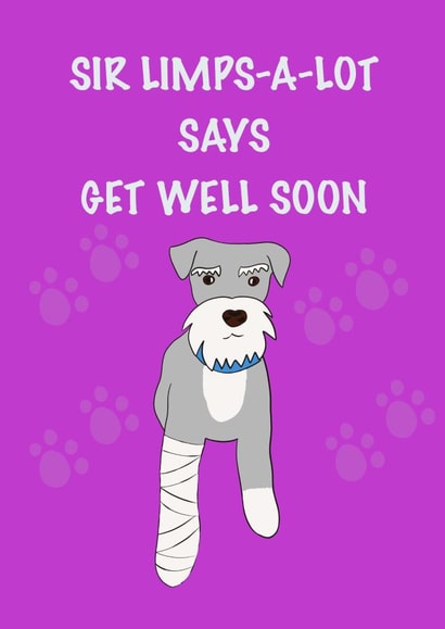 Miniature schnauzer get well soon card created by Schnauzer Scribbles