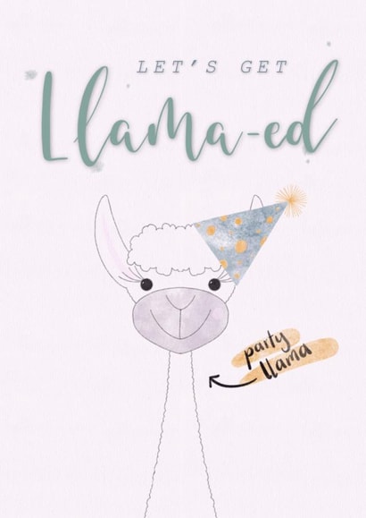 Let’s get llama-ed Birthday Card created by Magpie Designs UK