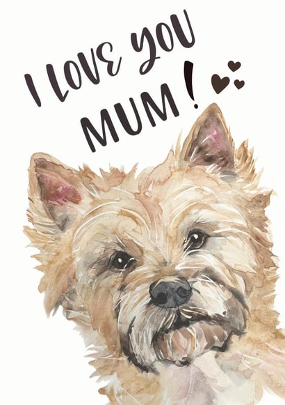 Cairn Terrier Birthday Love for Mum created by Jo Scott Art