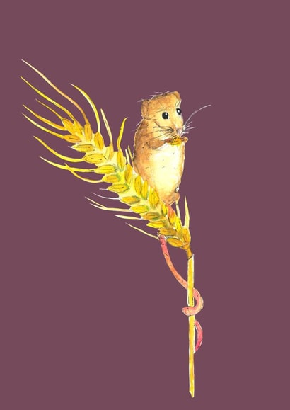 Field Mousey  created by Rachel Croker