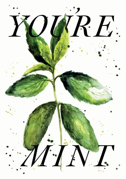 'You're Mint" card created by studio frewb