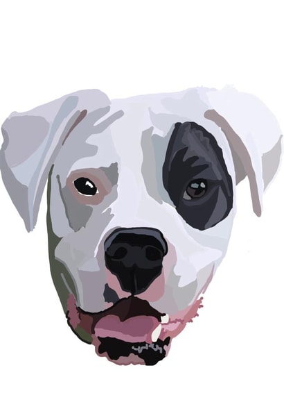 Happy Birthday boxer dog card created by Nelly Noos