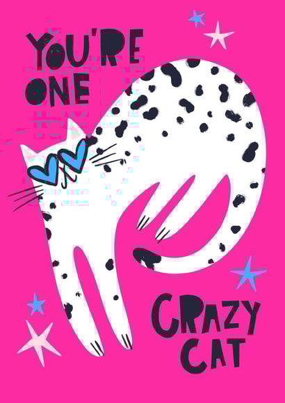 Crazy Cat card created by Lucy Maggie Designs