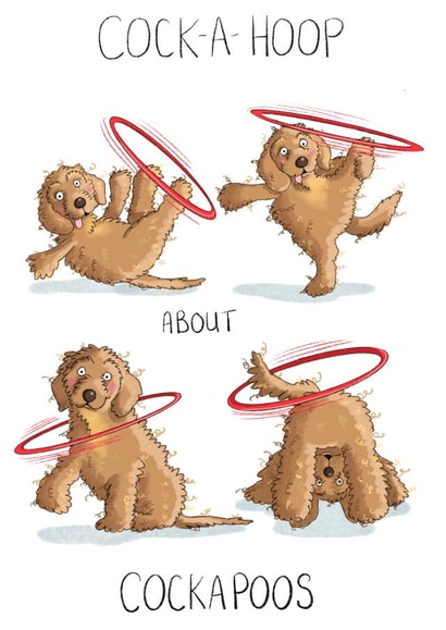 Cock-a-hoop about Cockapoos created by Leah Rowe