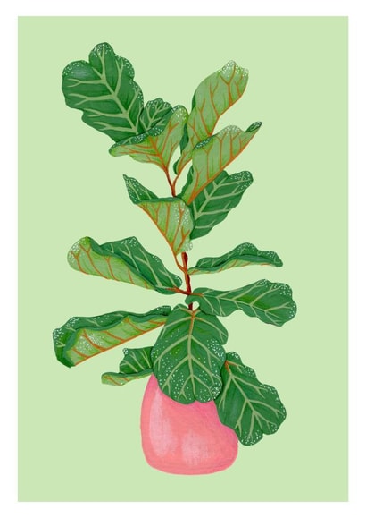 Fiddle Leafe Fig House Plant Greetings Card created by Little Greenhouse Greetings